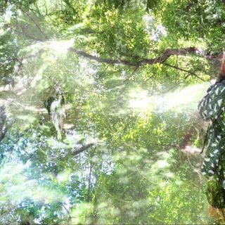 Un bosque y la cola de un perro.