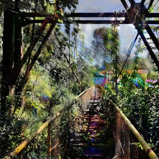 Un puente de metal en la selva